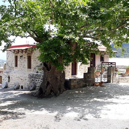 קיסאמוס Traditional House Koukounara מראה חיצוני תמונה