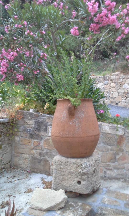 קיסאמוס Traditional House Koukounara מראה חיצוני תמונה