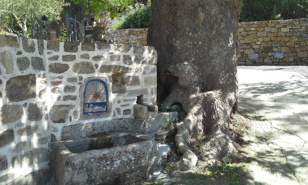 קיסאמוס Traditional House Koukounara מראה חיצוני תמונה