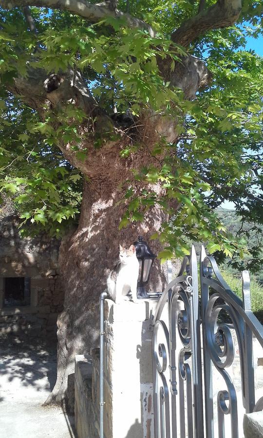 קיסאמוס Traditional House Koukounara מראה חיצוני תמונה